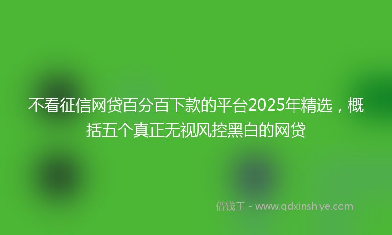 不看征信网贷百分百下款的平台2025年精选，概括五个真正无视风控黑白的网贷