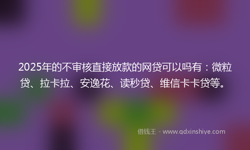 2025年的不审核直接放款的网贷可以吗有：微粒贷、拉卡拉、安逸花、读秒贷、维信卡卡贷等。