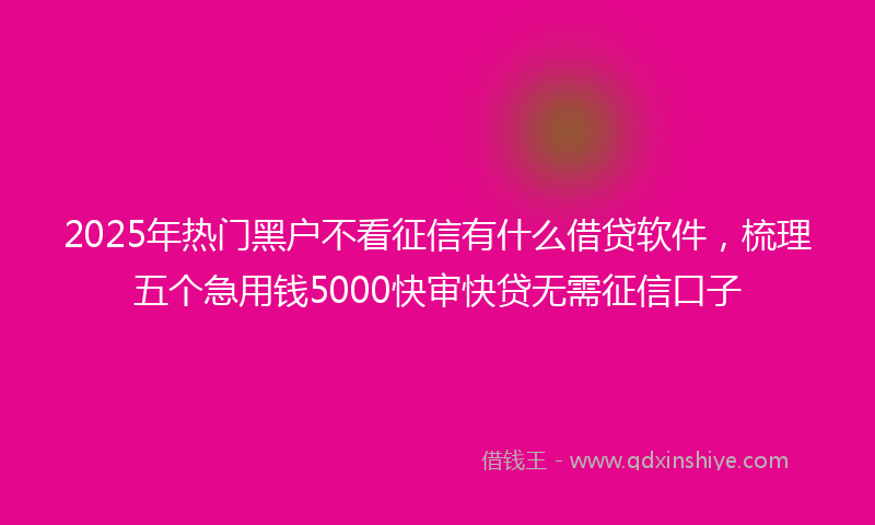 2025年热门黑户不看征信有什么借贷软件，梳理五个急用钱5000快审快贷无需征信口子