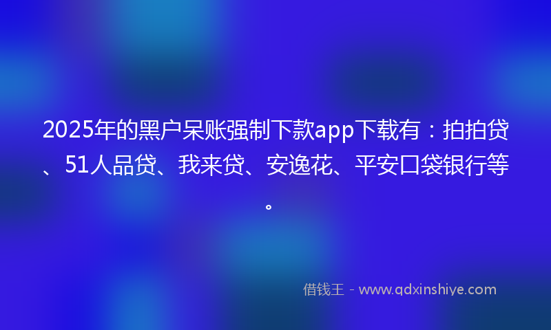 2025年的黑户呆账强制下款app下载有：拍拍贷、51人品贷、我来贷、安逸花、平安口袋银行等。
