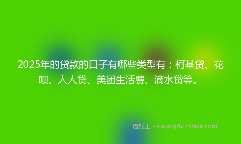 2025年的贷款的口子有哪些类型有：柯基贷、花呗、人人贷、美团生活费、滴水贷等。