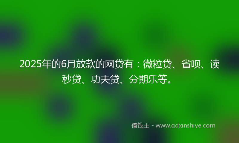 2025年的6月放款的网贷有:微粒贷、省呗、读秒贷、功夫贷、分期乐等。
