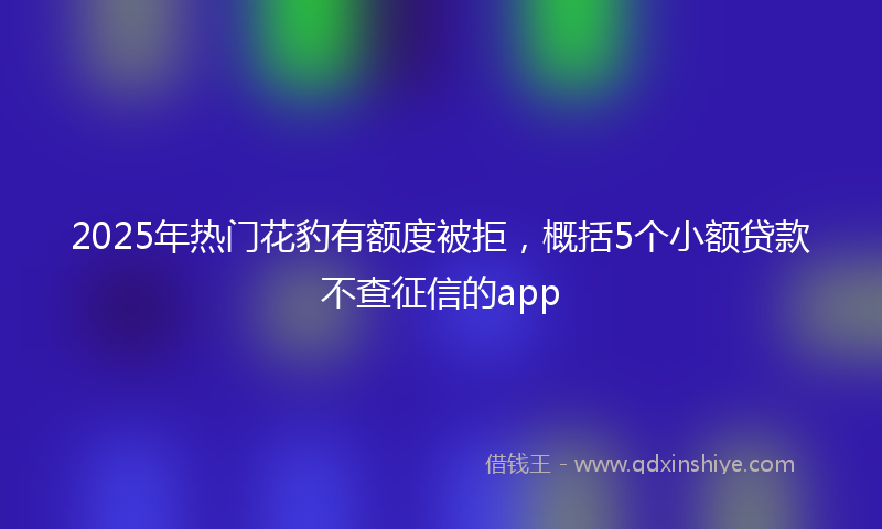2025年热门花豹有额度被拒，概括5个小额贷款不查征信的app