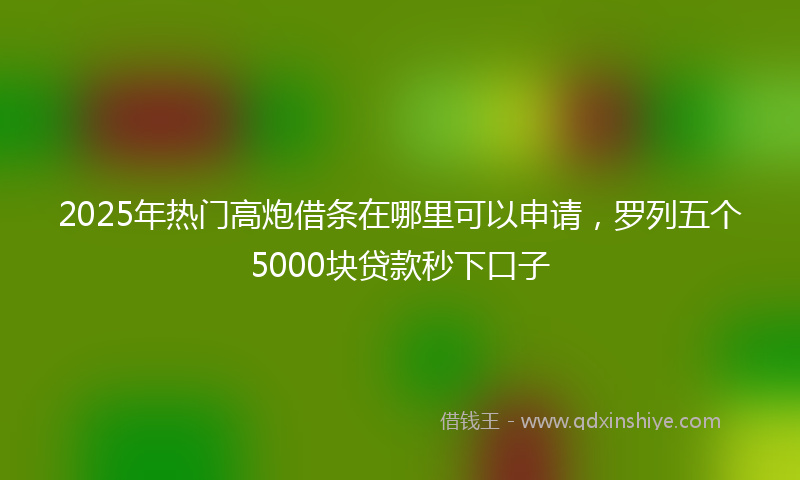 2025年热门高炮借条在哪里可以申请，罗列五个5000块贷款秒下口子