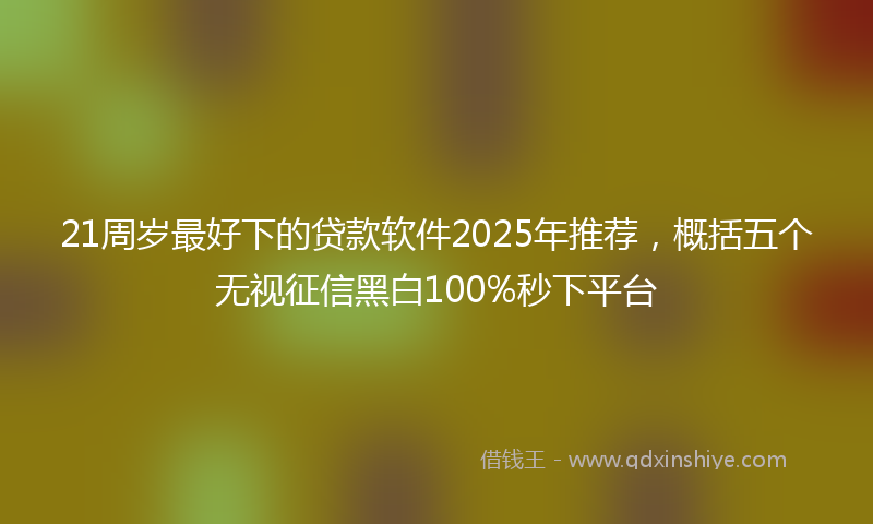 21周岁最好下的贷款软件2025年推荐，概括五个无视征信黑白100%秒下平台