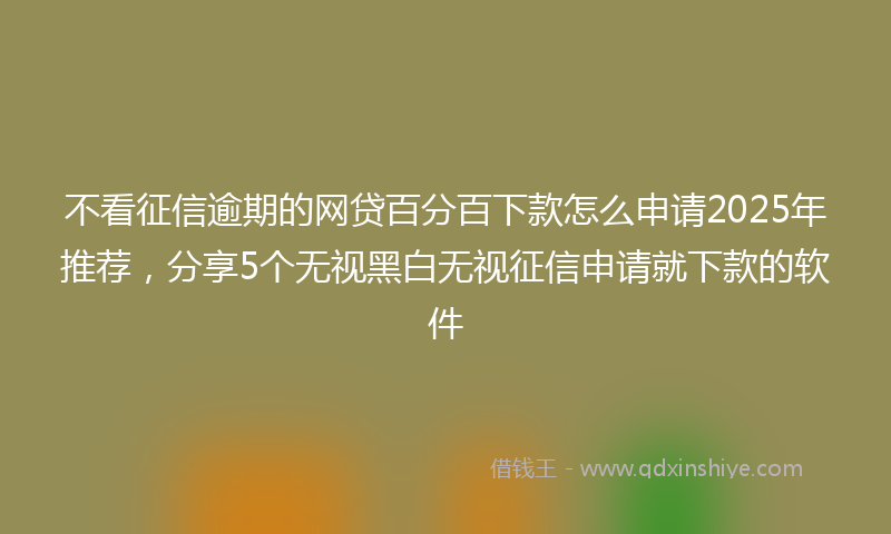 不看征信逾期的网贷百分百下款怎么申请2025年推荐，分享5个无视黑白无视征信申请就下款的软件