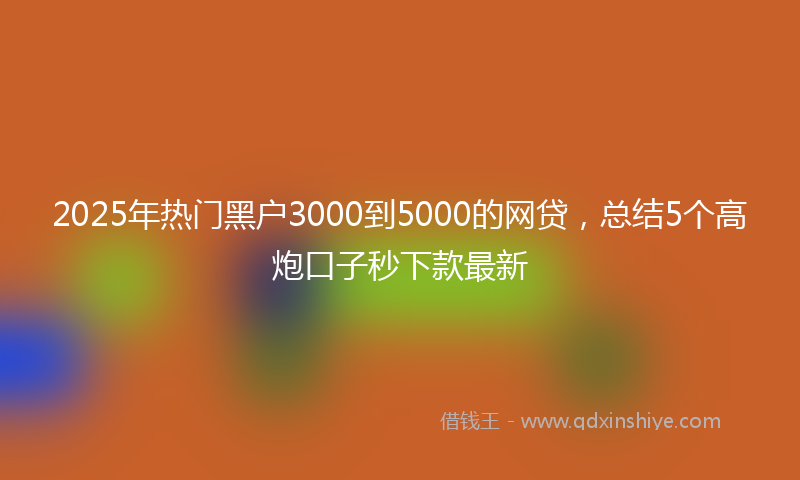 2025年热门黑户3000到5000的网贷，总结5个高炮口子秒下款最新