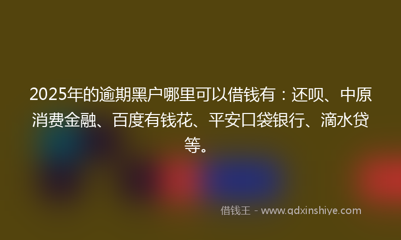 2025年的逾期黑户哪里可以借钱有：还呗、中原消费金融、百度有钱花、平安口袋银行、滴水贷等。