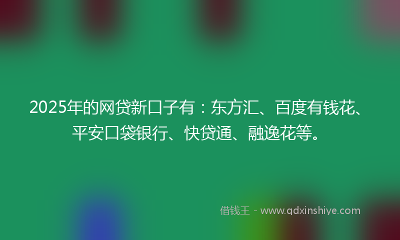 2025年的网贷新口子有：东方汇、百度有钱花、平安口袋银行、快贷通、融逸花等。