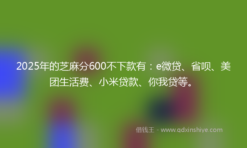 2025年的芝麻分600不下款有:e微贷、省呗、美团生活费、小米贷款、你我贷等。