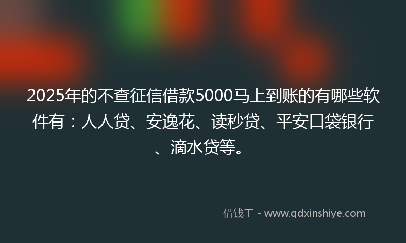 2025年的不查征信借款5000马上到账的有哪些软件有：人人贷、安逸花、读秒贷、平安口袋银行、滴水贷等。