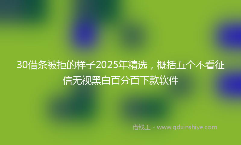 30借条被拒的样子2025年精选，概括五个不看征信无视黑白百分百下款软件