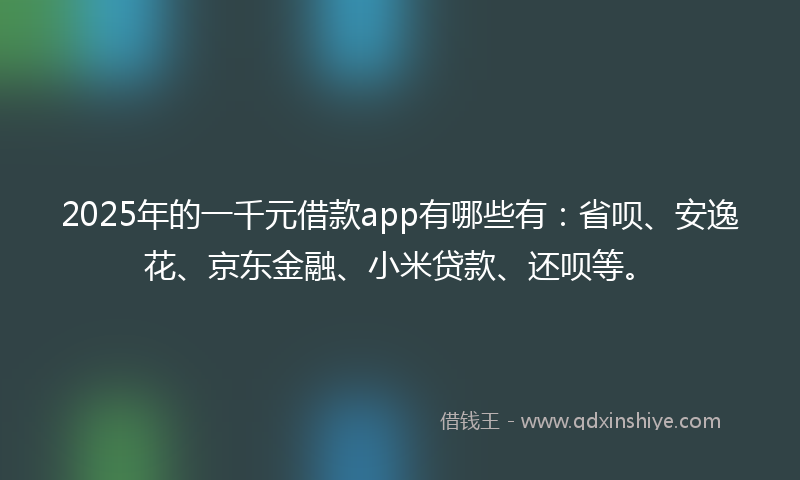 2025年的一千元借款app有哪些有：省呗、安逸花、京东金融、小米贷款、还呗等。