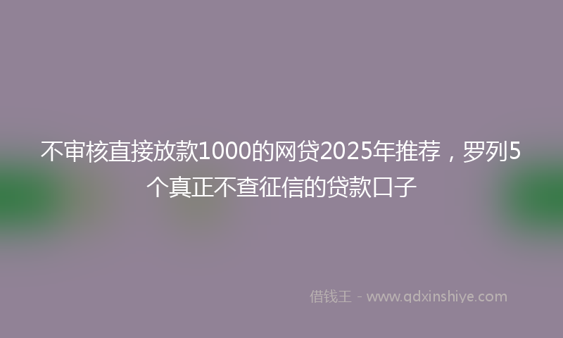 不审核直接放款1000的网贷2025年推荐，罗列5个真正不查征信的贷款口子