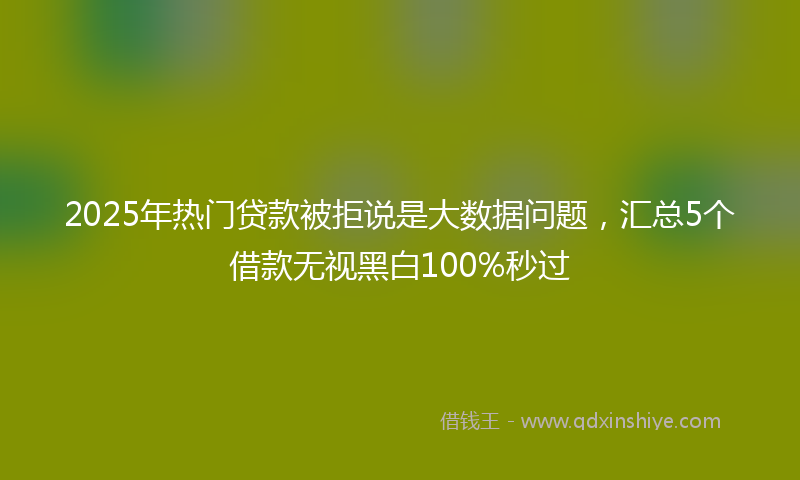 2025年热门贷款被拒说是大数据问题，汇总5个借款无视黑白100%秒过