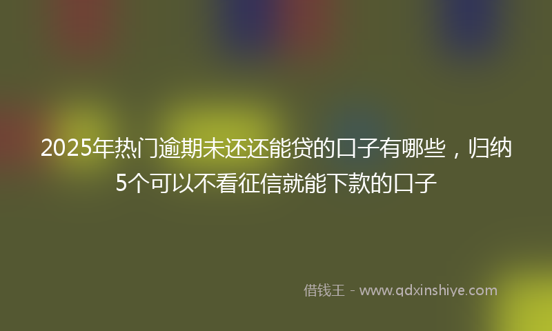 2025年热门逾期未还还能贷的口子有哪些，归纳5个可以不看征信就能下款的口子