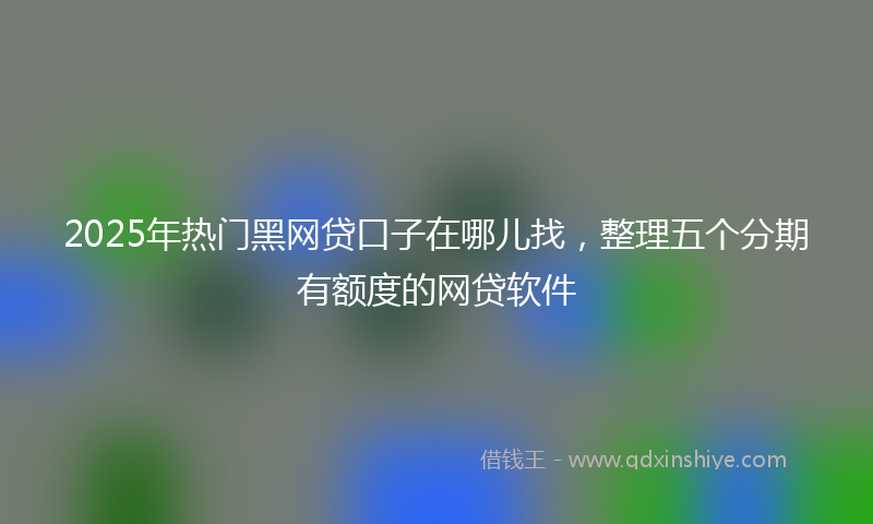 2025年热门黑网贷口子在哪儿找，整理五个分期有额度的网贷软件