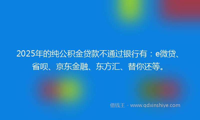 2025年的纯公积金贷款不通过银行有：e微贷、省呗、京东金融、东方汇、替你还等。