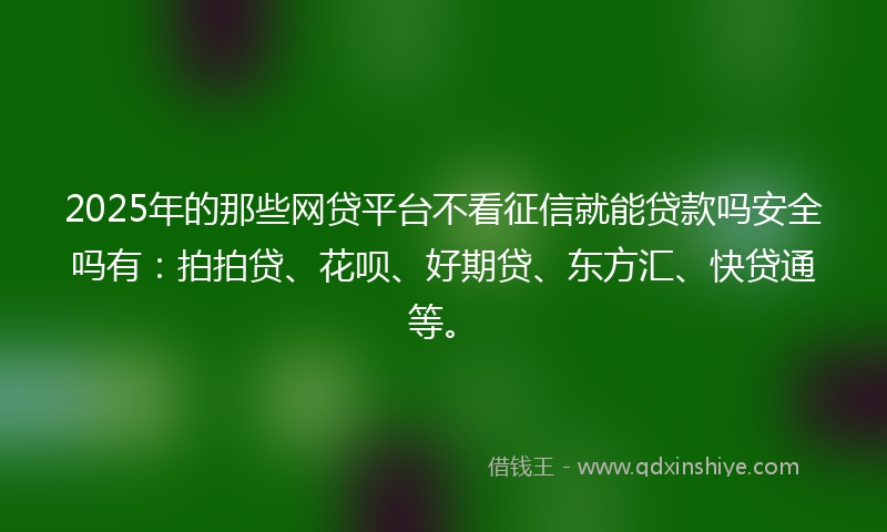 2025年的那些网贷平台不看征信就能贷款吗安全吗有：拍拍贷、花呗、好期贷、东方汇、快贷通等。