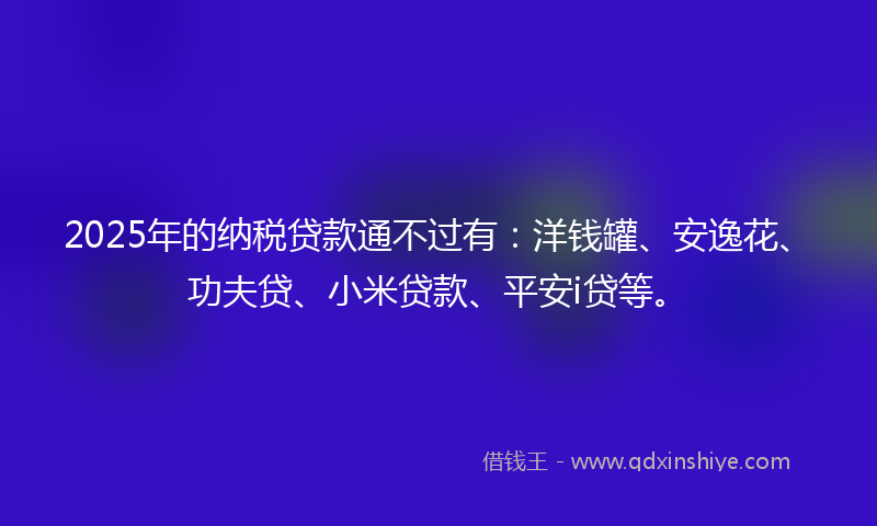 2025年的纳税贷款通不过有：洋钱罐、安逸花、功夫贷、小米贷款、平安i贷等。
