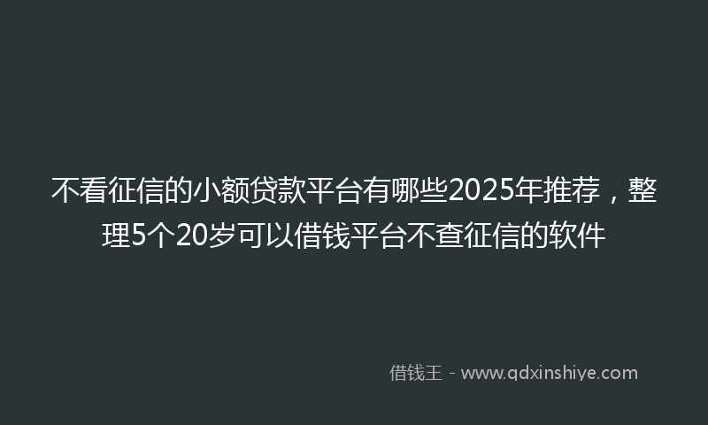 不看征信的小额贷款平台有哪些2025年推荐，整理5个20岁可以借钱平台不查征信的软件