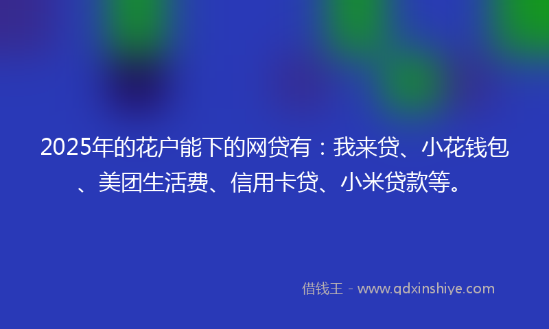 2025年的花户能下的网贷有：我来贷、小花钱包、美团生活费、信用卡贷、小米贷款等。