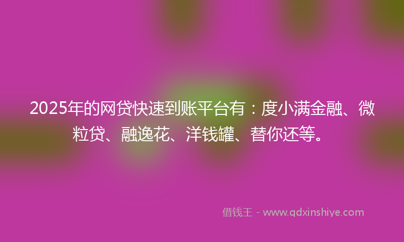 2025年的网贷快速到账平台有：度小满金融、微粒贷、融逸花、洋钱罐、替你还等。