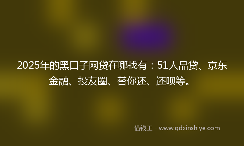2025年的黑口子网贷在哪找有：51人品贷、京东金融、投友圈、替你还、还呗等。