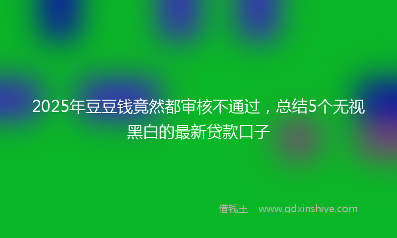 2025年豆豆钱竟然都审核不通过，总结5个无视黑白的最新贷款口子