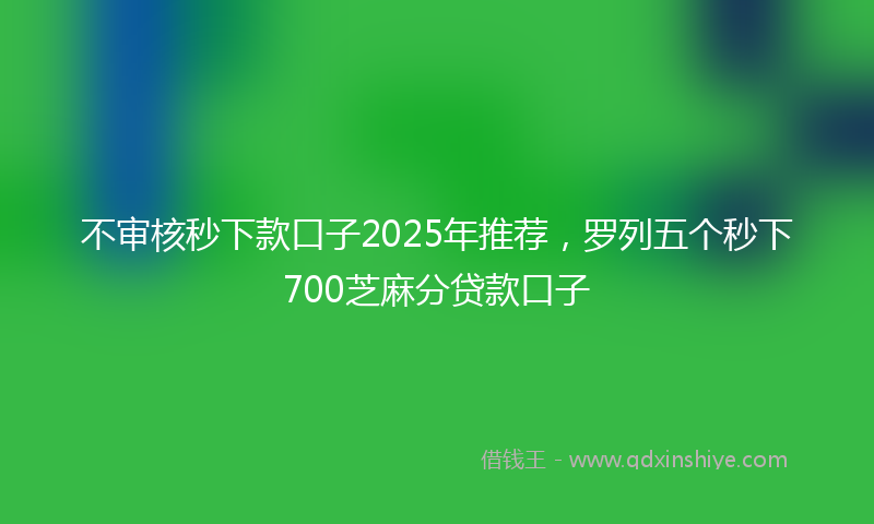 不审核秒下款口子2025年推荐，罗列五个秒下700芝麻分贷款口子