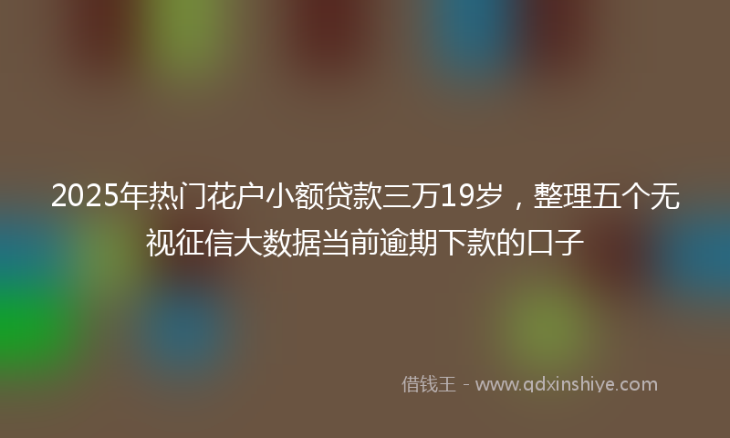 2025年热门花户小额贷款三万19岁，整理五个无视征信大数据当前逾期下款的口子