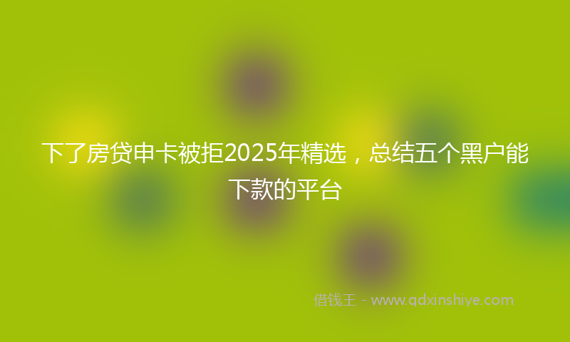 下了房贷申卡被拒2025年精选，总结五个黑户能下款的平台