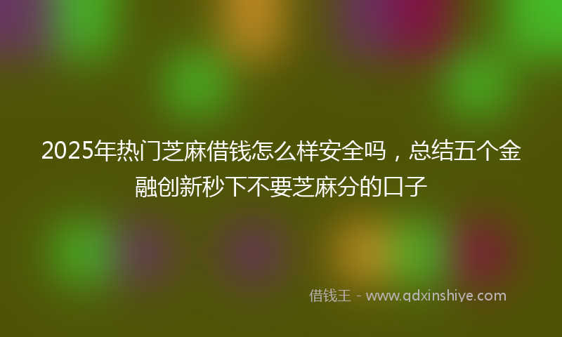 2025年热门芝麻借钱怎么样安全吗，总结五个金融创新秒下不要芝麻分的口子