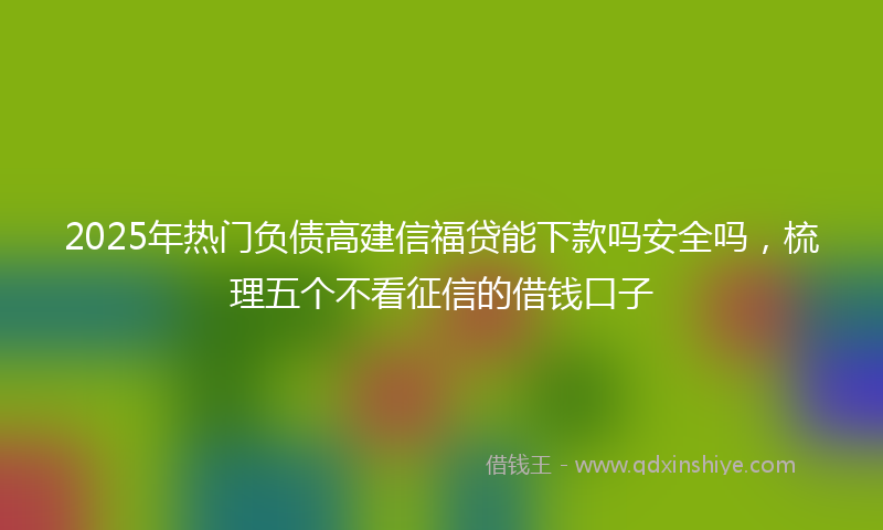 2025年热门负债高建信福贷能下款吗安全吗，梳理五个不看征信的借钱口子