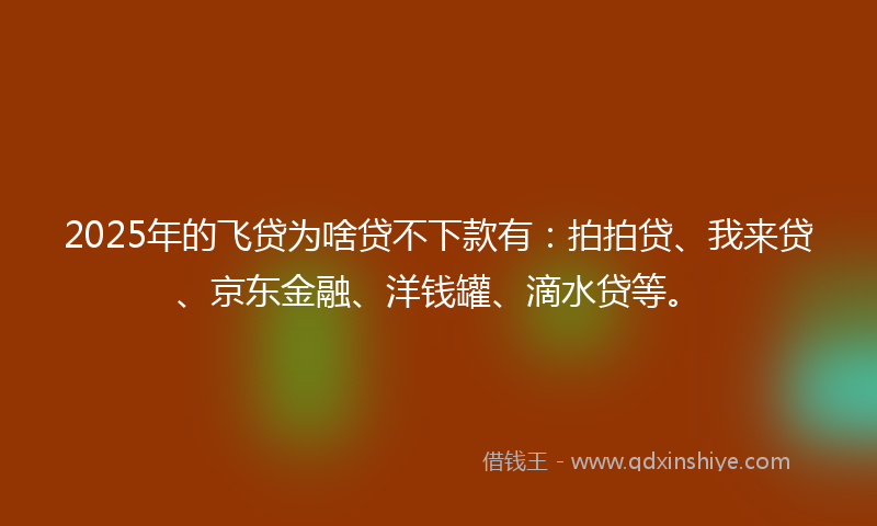 2025年的飞贷为啥贷不下款有：拍拍贷、我来贷、京东金融、洋钱罐、滴水贷等。