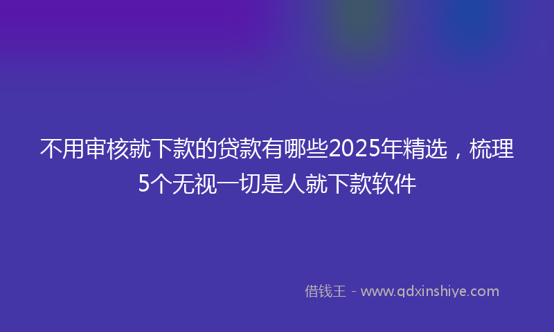 不用审核就下款的贷款有哪些2025年精选，梳理5个无视一切是人就下款软件