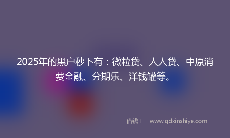 2025年的黑户秒下有：微粒贷、人人贷、中原消费金融、分期乐、洋钱罐等。