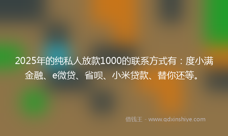 2025年的纯私人放款1000的联系方式有：度小满金融、e微贷、省呗、小米贷款、替你还等。