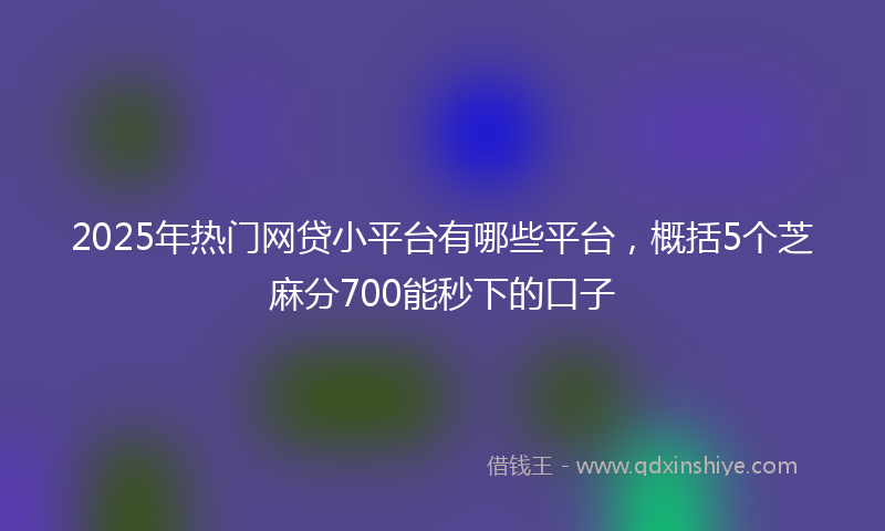 2025年热门网贷小平台有哪些平台，概括5个芝麻分700能秒下的口子