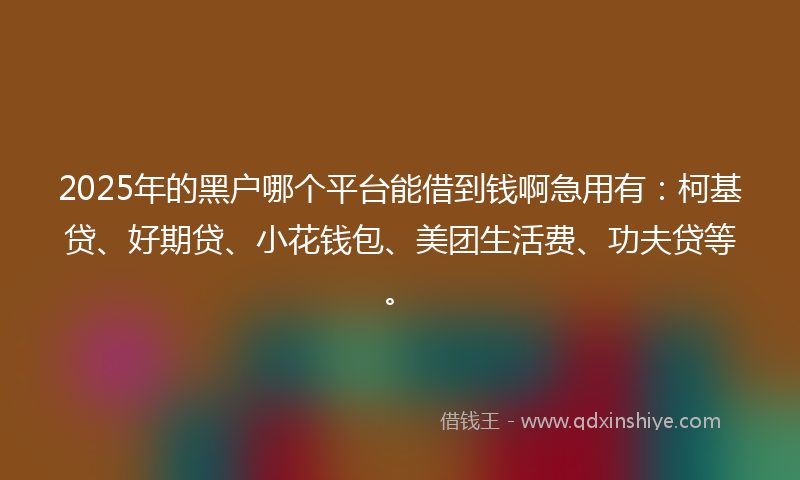 2025年的黑户哪个平台能借到钱啊急用有：柯基贷、好期贷、小花钱包、美团生活费、功夫贷等。