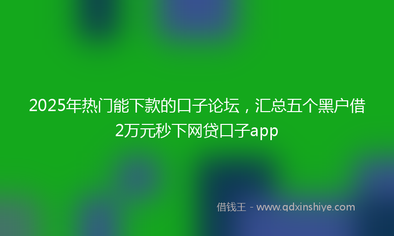 2025年热门能下款的口子论坛，汇总五个黑户借2万元秒下网贷口子app
