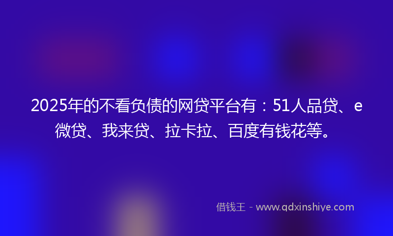 2025年的不看负债的网贷平台有：51人品贷、e微贷、我来贷、拉卡拉、百度有钱花等。