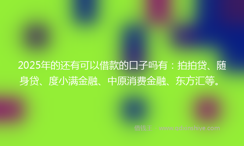 2025年的还有可以借款的口子吗有：拍拍贷、随身贷、度小满金融、中原消费金融、东方汇等。