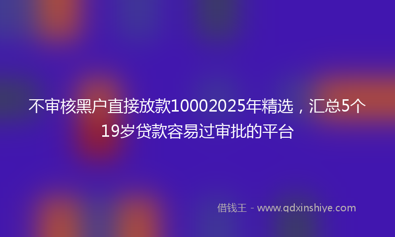 不审核黑户直接放款10002025年精选，汇总5个19岁贷款容易过审批的平台