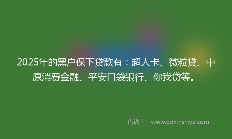2025年的黑户保下贷款有：超人卡、微粒贷、中原消费金融、平安口袋银行、你我贷等。
