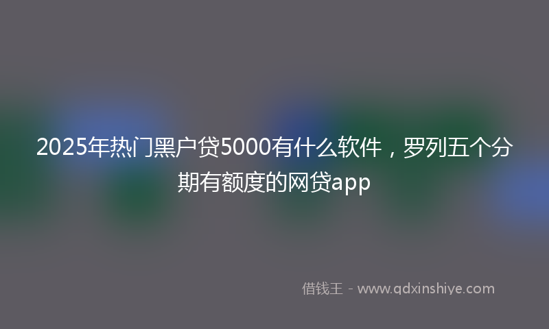 2025年热门黑户贷5000有什么软件，罗列五个分期有额度的网贷app