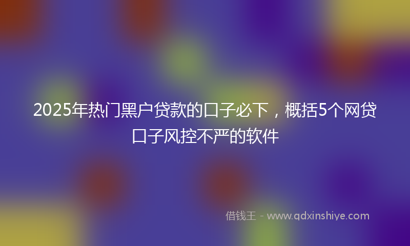 2025年热门黑户贷款的口子必下，概括5个网贷口子风控不严的软件