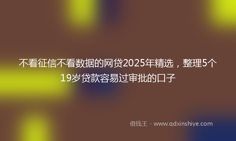 不看征信不看数据的网贷2025年精选，整理5个19岁贷款容易过审批的口子