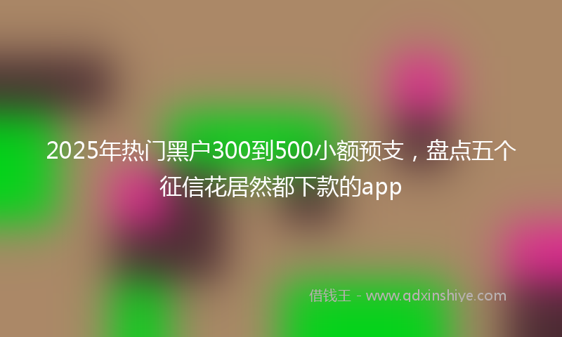 2025年热门黑户300到500小额预支，盘点五个征信花居然都下款的app