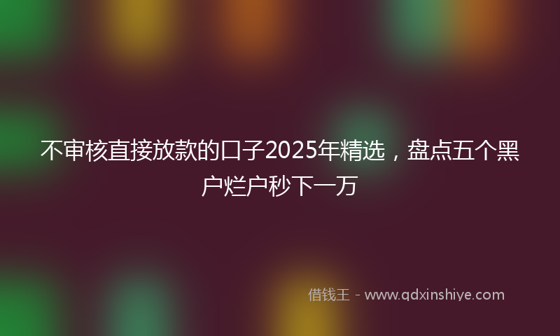 不审核直接放款的口子2025年精选，盘点五个黑户烂户秒下一万